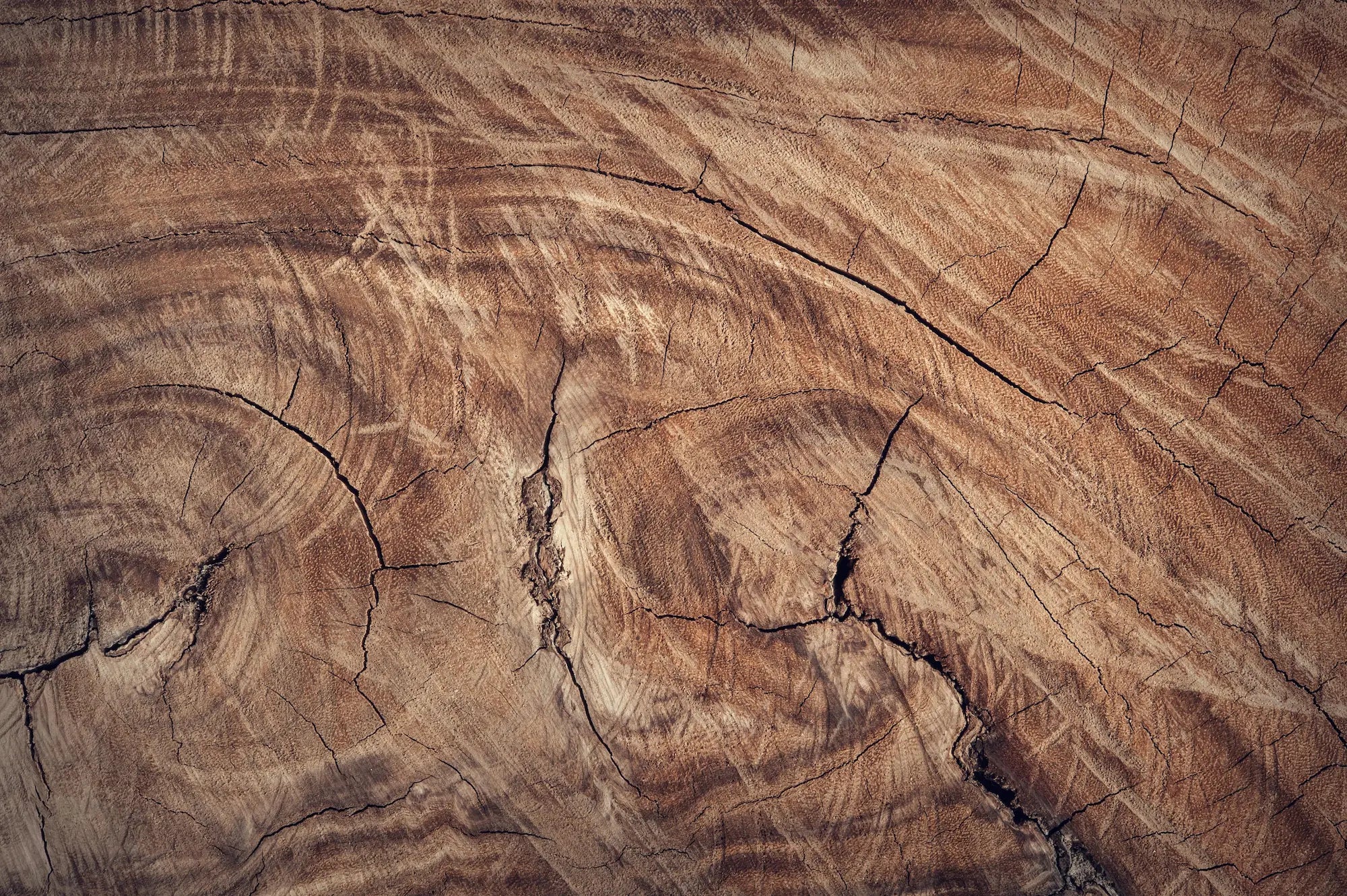 detalle de madera noble en tono oscuro y vetas marcadas